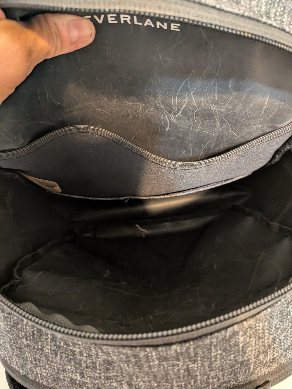 Everlane Backpack - Picture 3 of 7